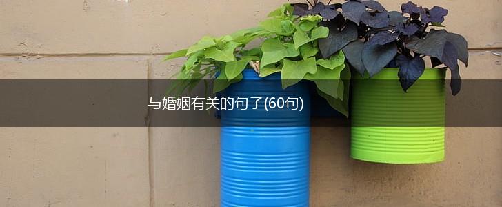 与婚姻有关的句子(60句),第1张