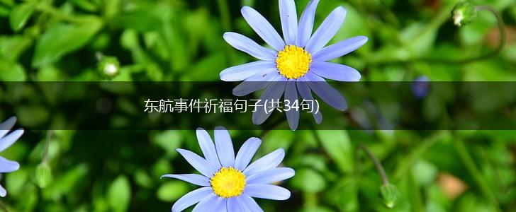 东航事件祈福句子(共34句),第1张