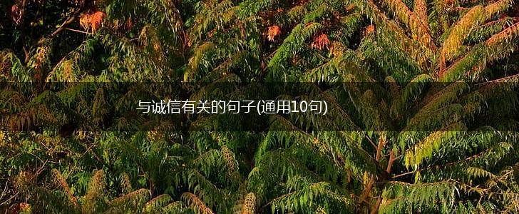 与诚信有关的句子(通用10句),第1张