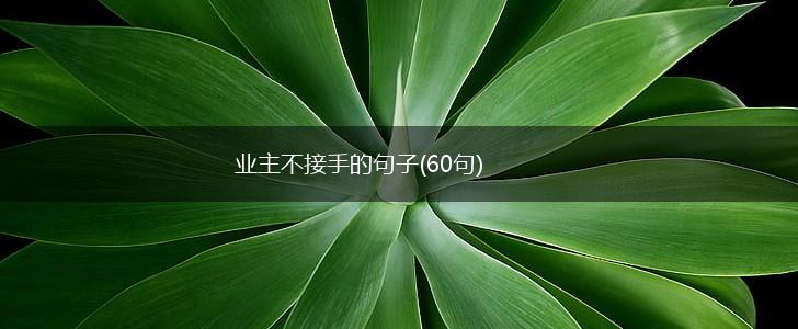 业主不接手的句子(60句),第1张
