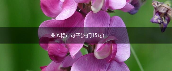 业务稳定句子(热门15句),第1张