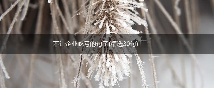 不让企业吃亏的句子(精选30句),第1张