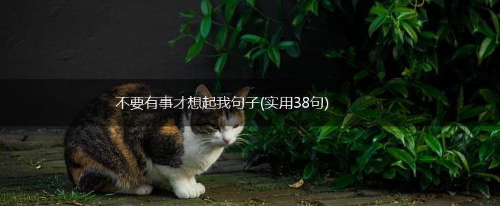 不要有事才想起我句子(实用38句),第1张
