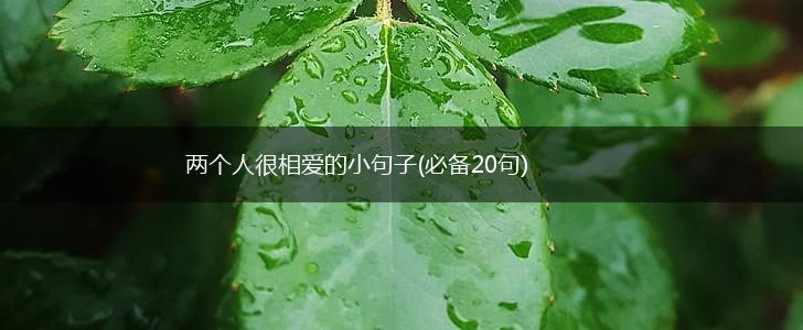 两个人很相爱的小句子(必备20句),第1张