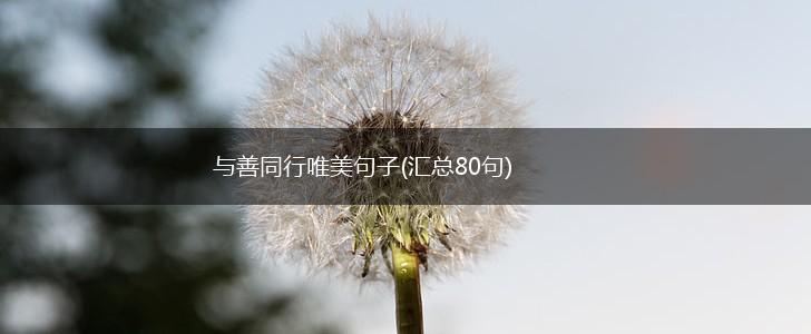 与善同行唯美句子(汇总80句),第1张