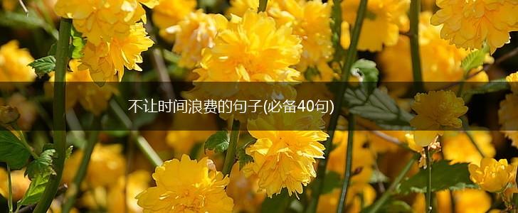 不让时间浪费的句子(必备40句),第1张