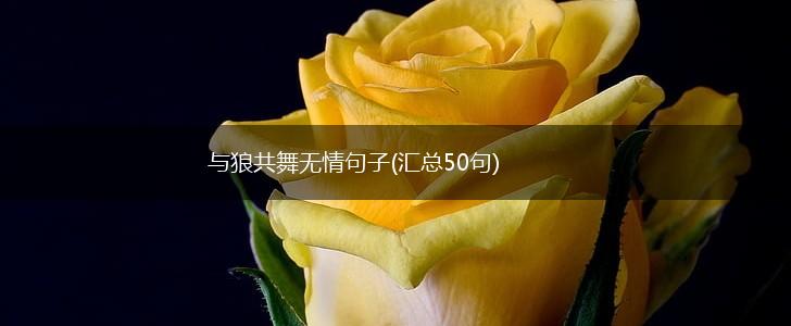 与狼共舞无情句子(汇总50句),第1张
