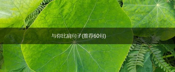 与你比肩句子(推荐60句),第1张