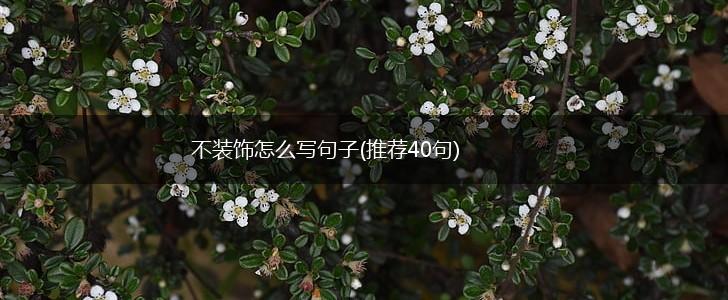 不装饰怎么写句子(推荐40句),第1张