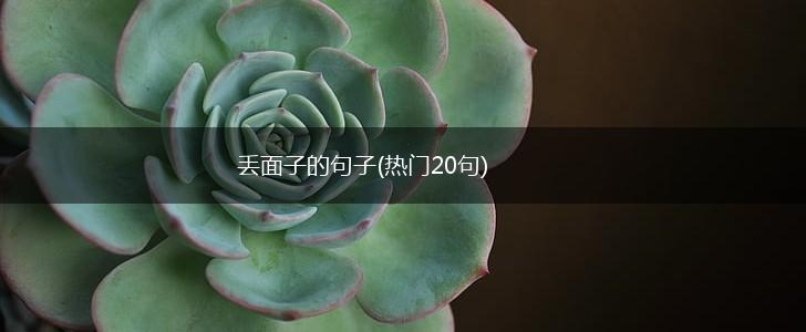 丢面子的句子(热门20句),第1张