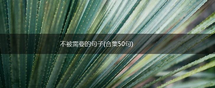 不被需要的句子(合集50句),第1张