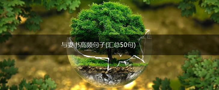 与妻书高频句子(汇总50句),第1张
