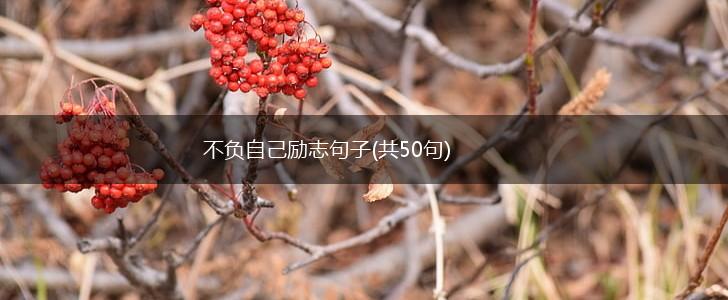 不负自己励志句子(共50句),第1张