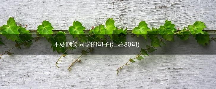 不要嘲笑同学的句子(汇总80句),第1张