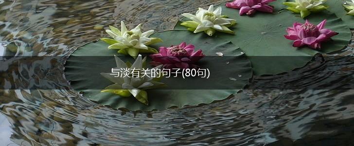 与淡有关的句子(80句),第1张
