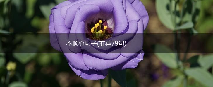 不顺心句子(推荐79句),第1张