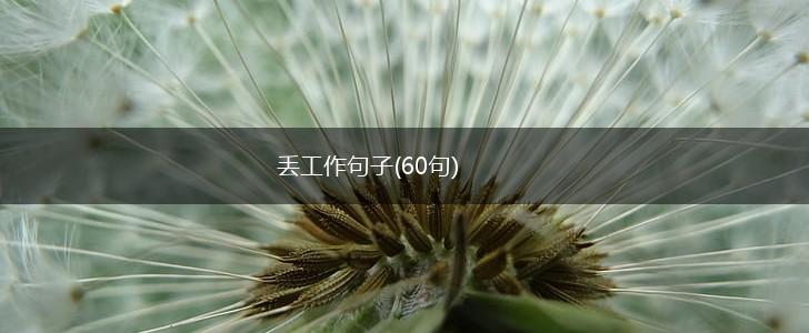 丢工作句子(60句),第1张