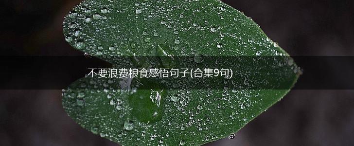 不要浪费粮食感悟句子(合集9句),第1张