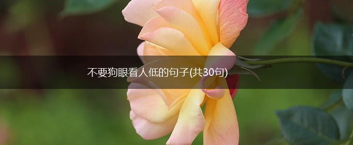 不要狗眼看人低的句子(共30句),第1张