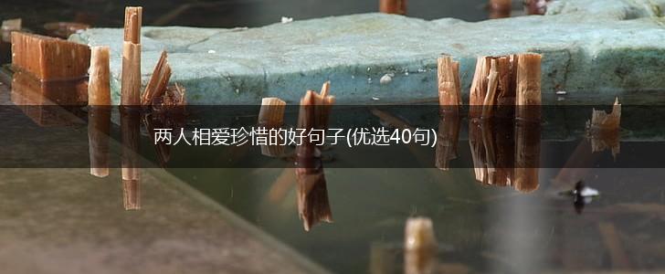 两人相爱珍惜的好句子(优选40句),第1张