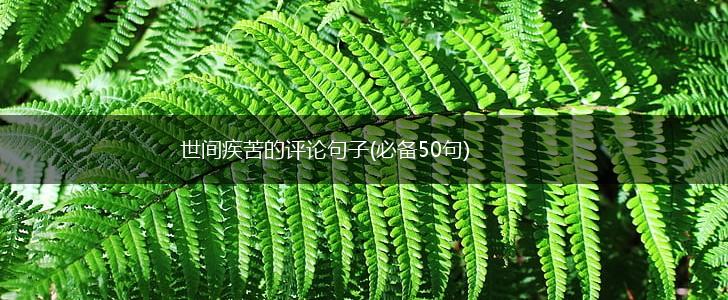 世间疾苦的评论句子(必备50句),第1张
