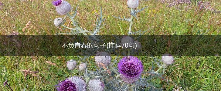 不负青春的句子(推荐70句),第1张