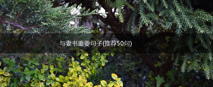 与妻书重要句子(推荐50句),第1张