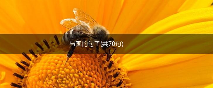 与国的句子(共70句),第1张