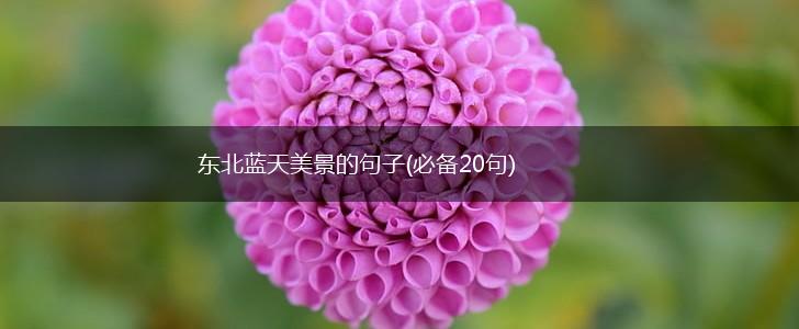 东北蓝天美景的句子(必备20句),第1张
