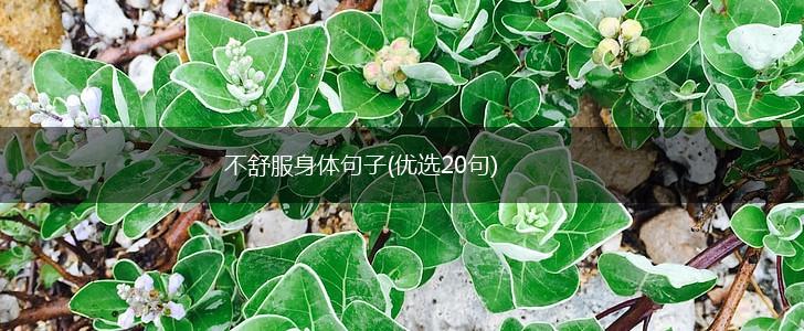 不舒服身体句子(优选20句),第1张