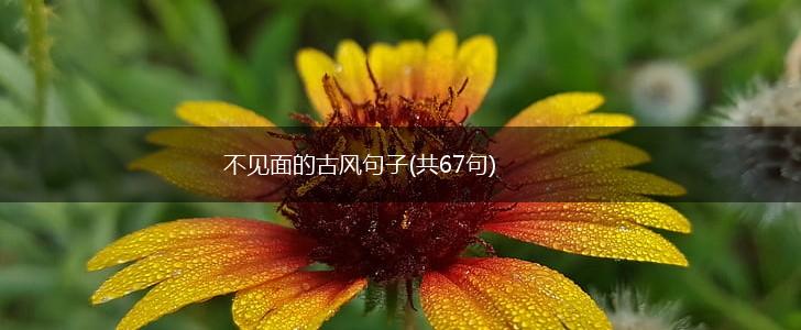 不见面的古风句子(共67句),第1张