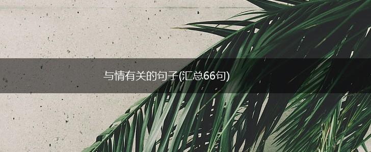与情有关的句子(汇总66句),第1张