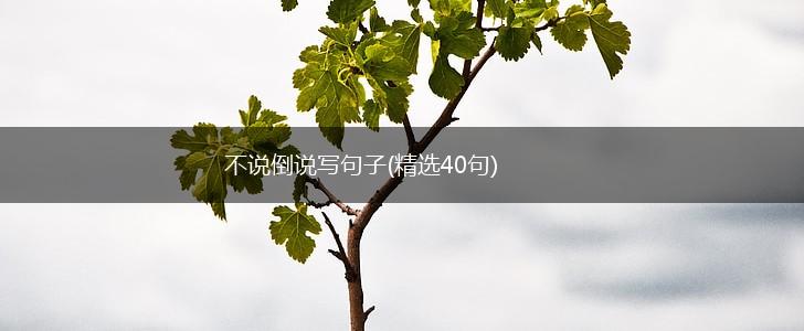 不说倒说写句子(精选40句),第1张