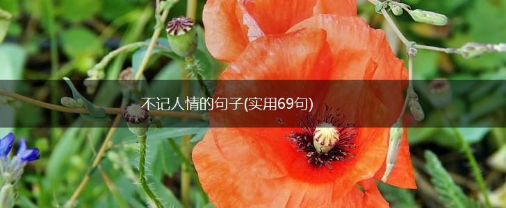 不记人情的句子(实用69句),第1张