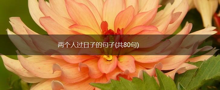 两个人过日子的句子(共80句),第1张