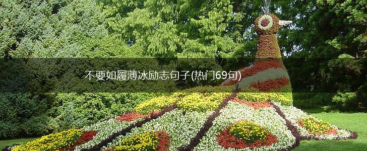 不要如履薄冰励志句子(热门69句),第1张
