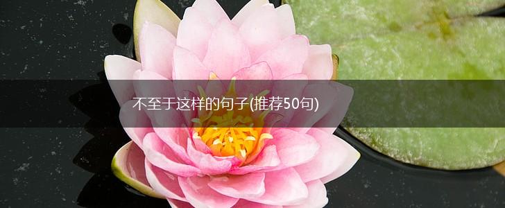不至于这样的句子(推荐50句),第1张