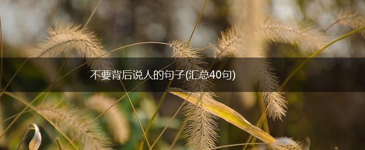 不要背后说人的句子(汇总40句),第1张