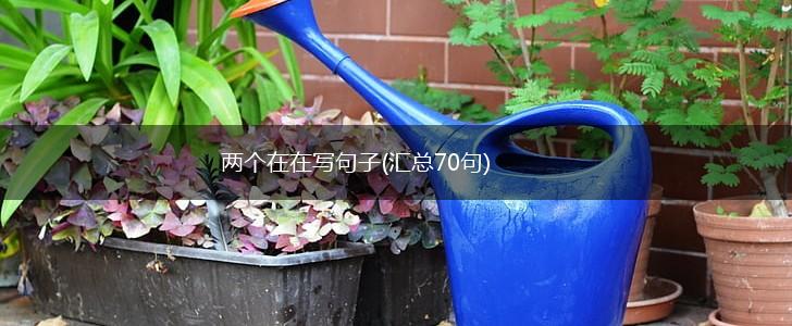 两个在在写句子(汇总70句),第1张