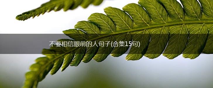 不要相信眼前的人句子(合集15句),第1张