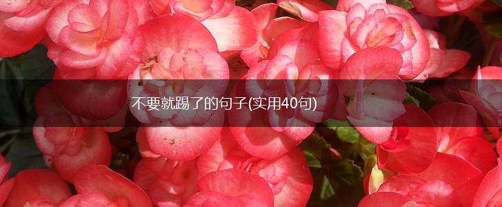 不要就踢了的句子(实用40句),第1张