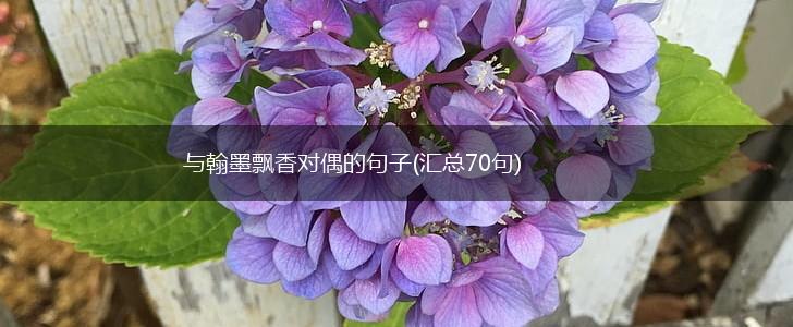 与翰墨飘香对偶的句子(汇总70句),第1张
