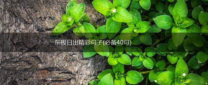 东极日出精彩句子(必备40句),第1张