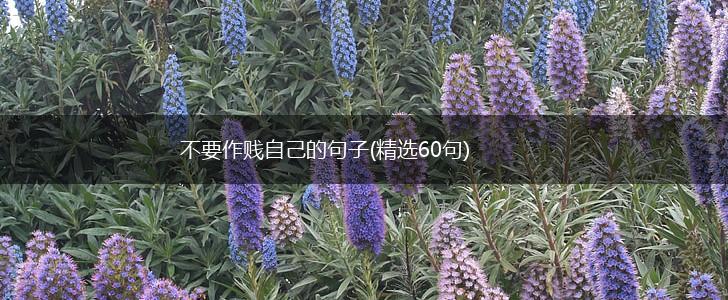 不要作贱自己的句子(精选60句),第1张