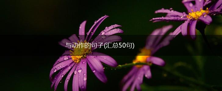 与动作的句子(汇总50句),第1张