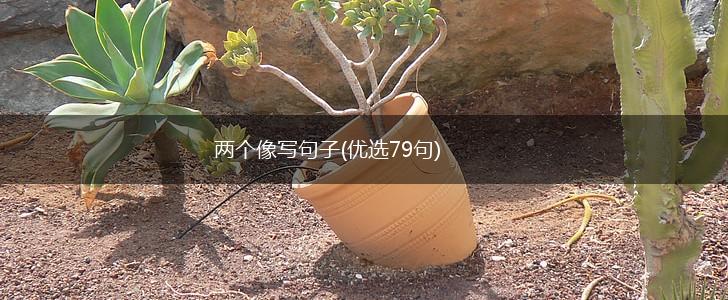两个像写句子(优选79句),第1张