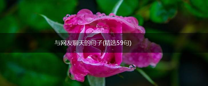 与网友聊天的句子(精选59句),第1张