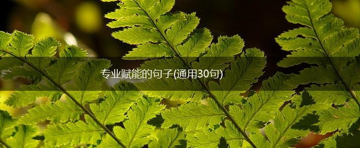 专业赋能的句子(通用30句),第1张