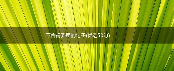 不舍得委屈的句子(优选50句),第1张
