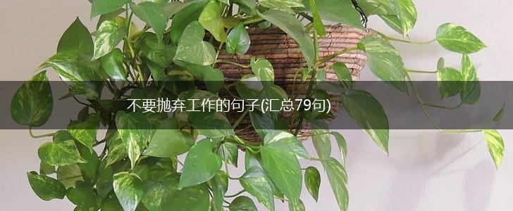 不要抛弃工作的句子(汇总79句),第1张